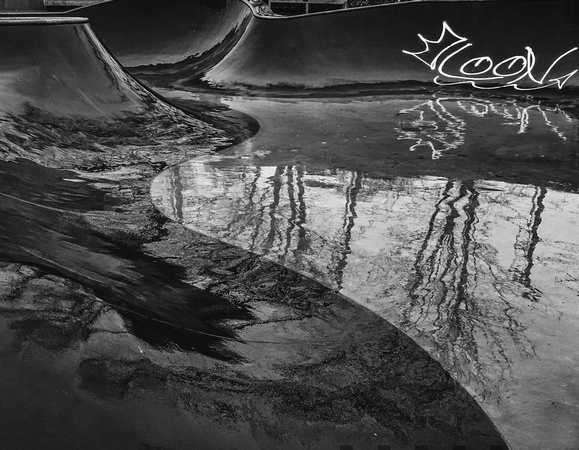 Skate reflections.